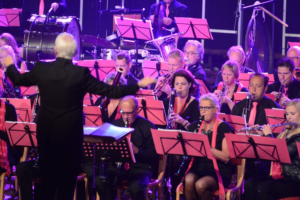 ../Images/Jubileumconcert 100 jaar Harpe Davids 051.jpg